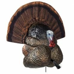 Best Pirce ๐ฅ Flextone Thunder Creeper ๐