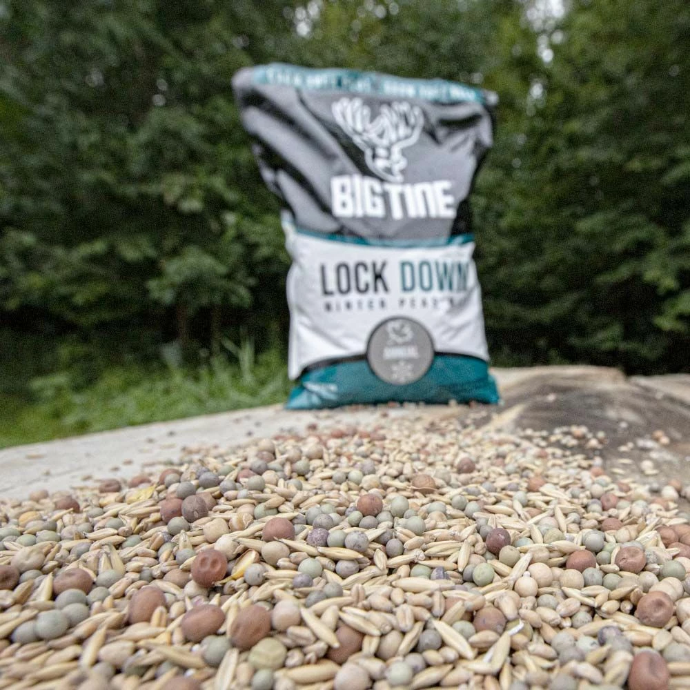 Brand new ๐ฏ Big Tine Lock-Down Winter Peas 8.5 Lb. ๐ 2 Brand new ๐ฏ Big Tine Lock-Down Winter Peas 8.5 Lb. ๐ - Image 2