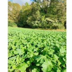 Wholesale ๐ Big Tine Last Stand 2 Lb. โค๏ธ 5 Wholesale ๐ Big Tine Last Stand 2 Lb. โค๏ธ -Cheap Hunting & Fishing Store 0024094 2