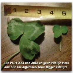 New 🎉 Antler King JOLT Foliar Fertilizer 32 Oz. 🛒 -Cheap Hunting & Fishing Store 0024298 2