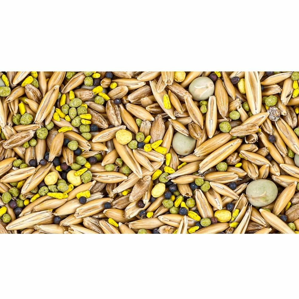 New ๐ Evolved Habitat 5 Card Draw™ โจ 2 New ๐ Evolved Habitat 5 Card Draw™ โจ - Image 2