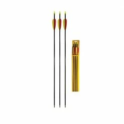 Best Pirce 😀 Daisy Youth Archery 26 In. Target Arrows 3 Pk. 🛒