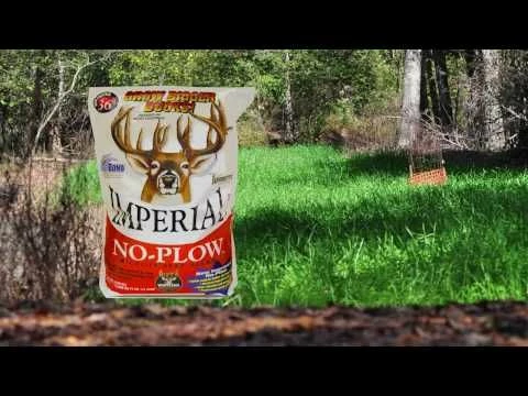 Wholesale ๐ Whitetail Institute Imperial No-Plow Wildlife Seed Blend โค๏ธ 2 Wholesale ๐ Whitetail Institute Imperial No-Plow Wildlife Seed Blend โค๏ธ - Image 2