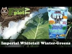 Cheapest 😍 Whitetail Institute Imperial Whitetail Winter-Greens ❤️ -Cheap Hunting & Fishing Store hqdefault 2 9