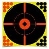 New 💯 Birchwood Casey Shoot-N-C® Bull's-Eye BMW Target ⌛
